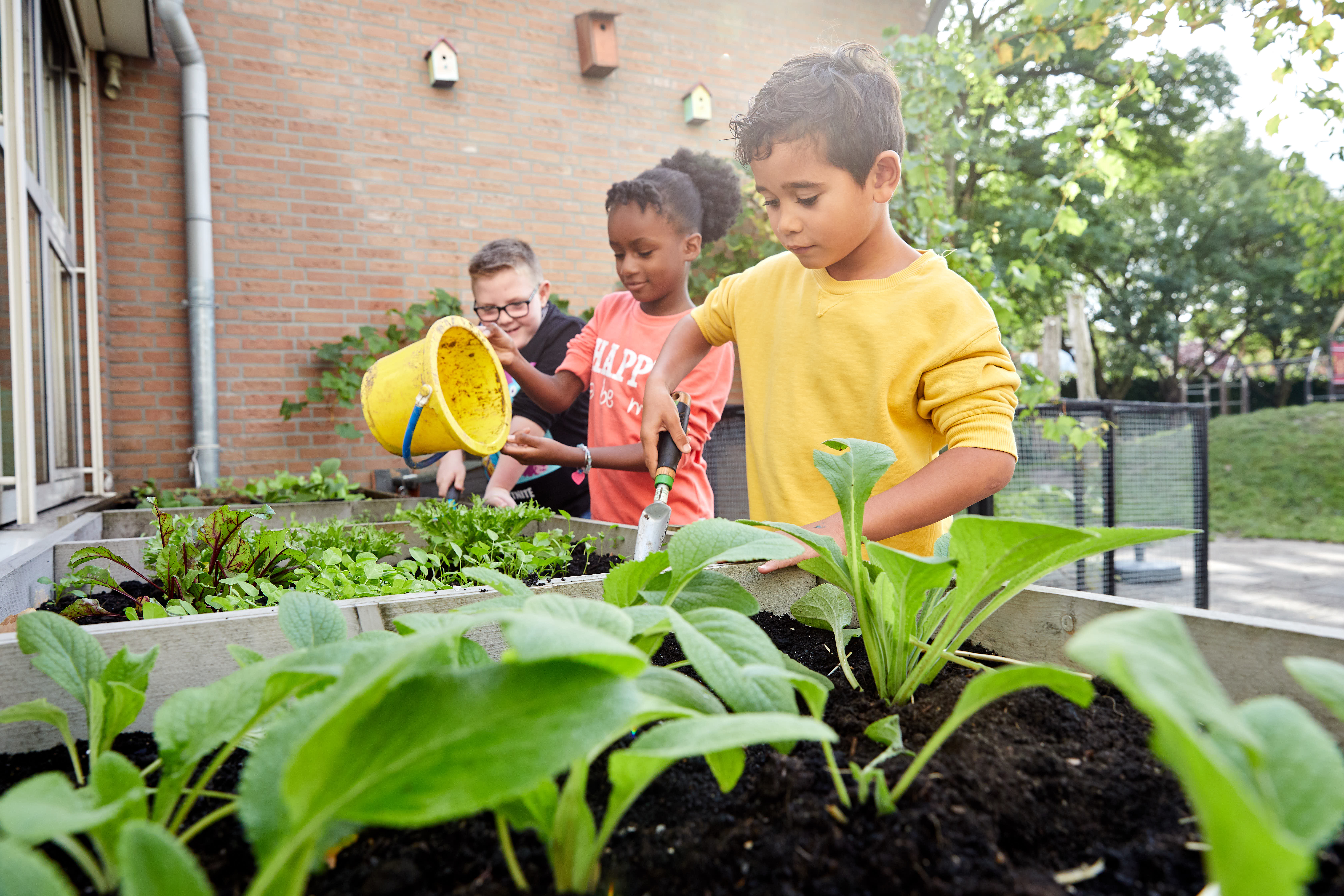 Drie leerlingen werken aan een plantenbak met plantjes erin